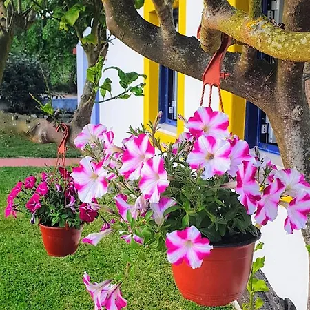 Sondela Self Catering * São Martinho do Porto