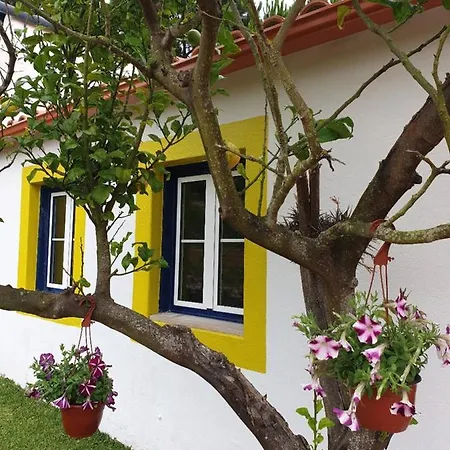 Alpesi faház Sondela Self Catering *