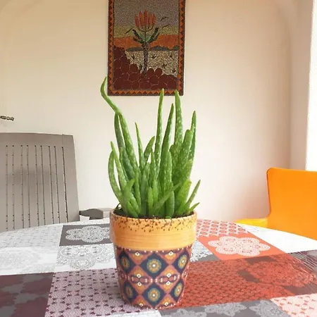 Sondela Self Catering Dağ evi
