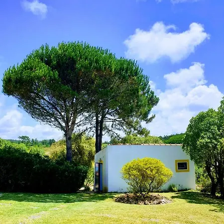 Sondela Self Catering ساو مارتينهو دو بورتو