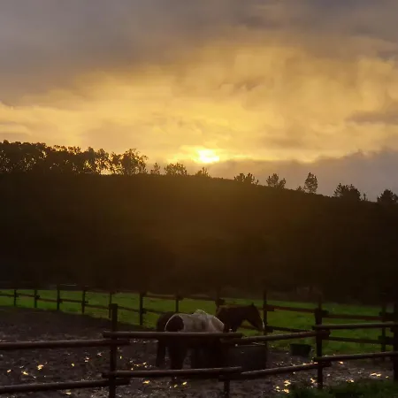 Sondela Self Catering *