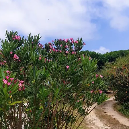 Sondela Self Catering São Martinho do Porto