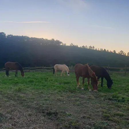 Sondela Self Catering