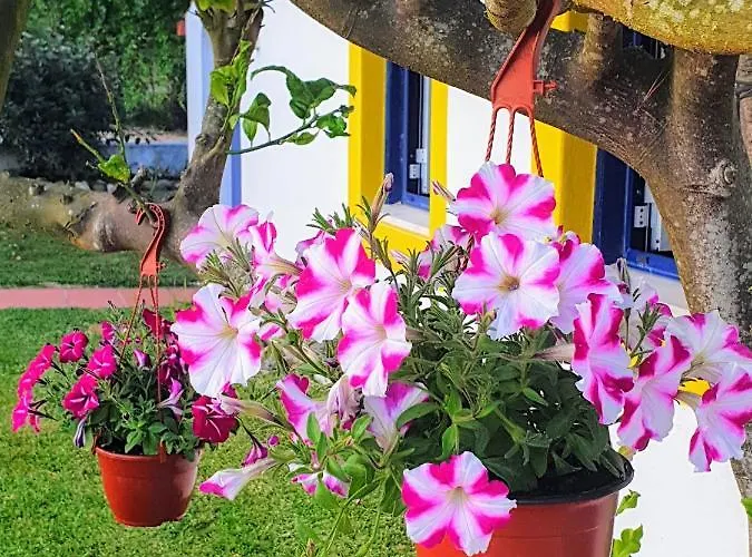 Sondela Self Catering * São Martinho do Porto