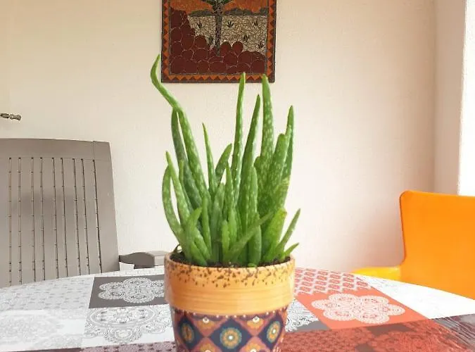 Sondela Self Catering Chalé