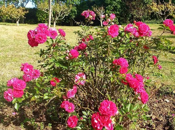 Sondela Self Catering Chalé São Martinho do Porto