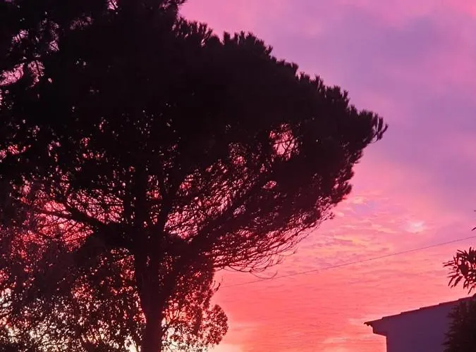 Sondela Self Catering Chalé