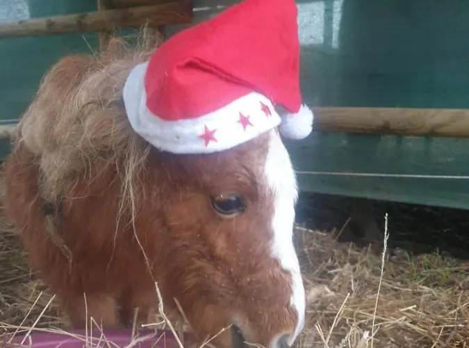 Sondela Self Catering Chalé