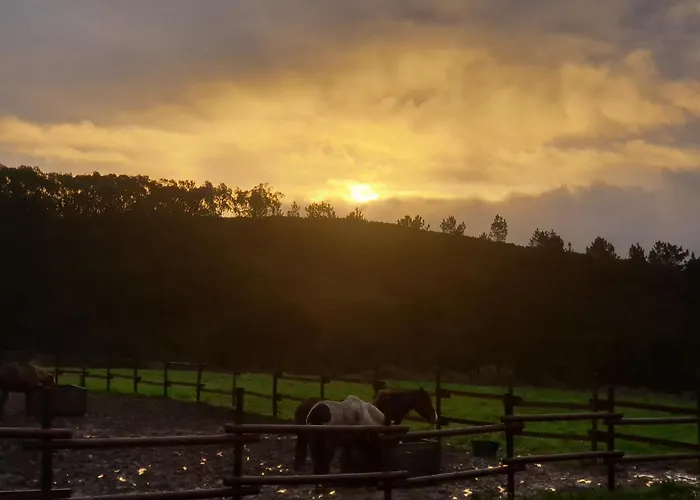 Sondela Self Catering *