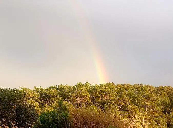 Sondela Self Catering São Martinho do Porto