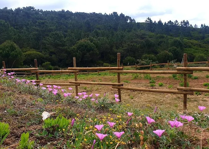 Sondela Self Catering Chalé