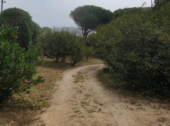 Sondela Self Catering Chalé *