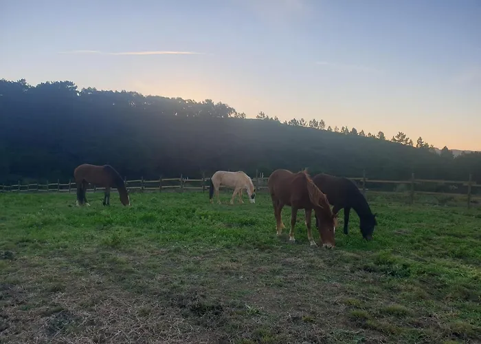 Sondela Self Catering