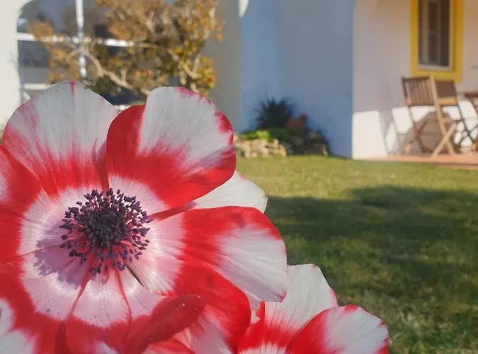 Chalé Sondela Self Catering